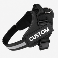 Dog Harness