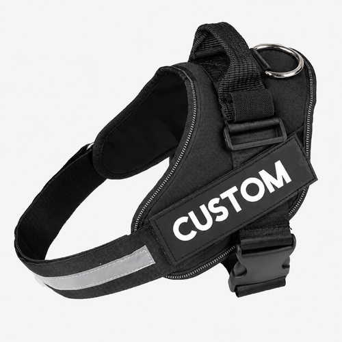 Personalised Dog Harness