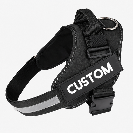 Dog Harness