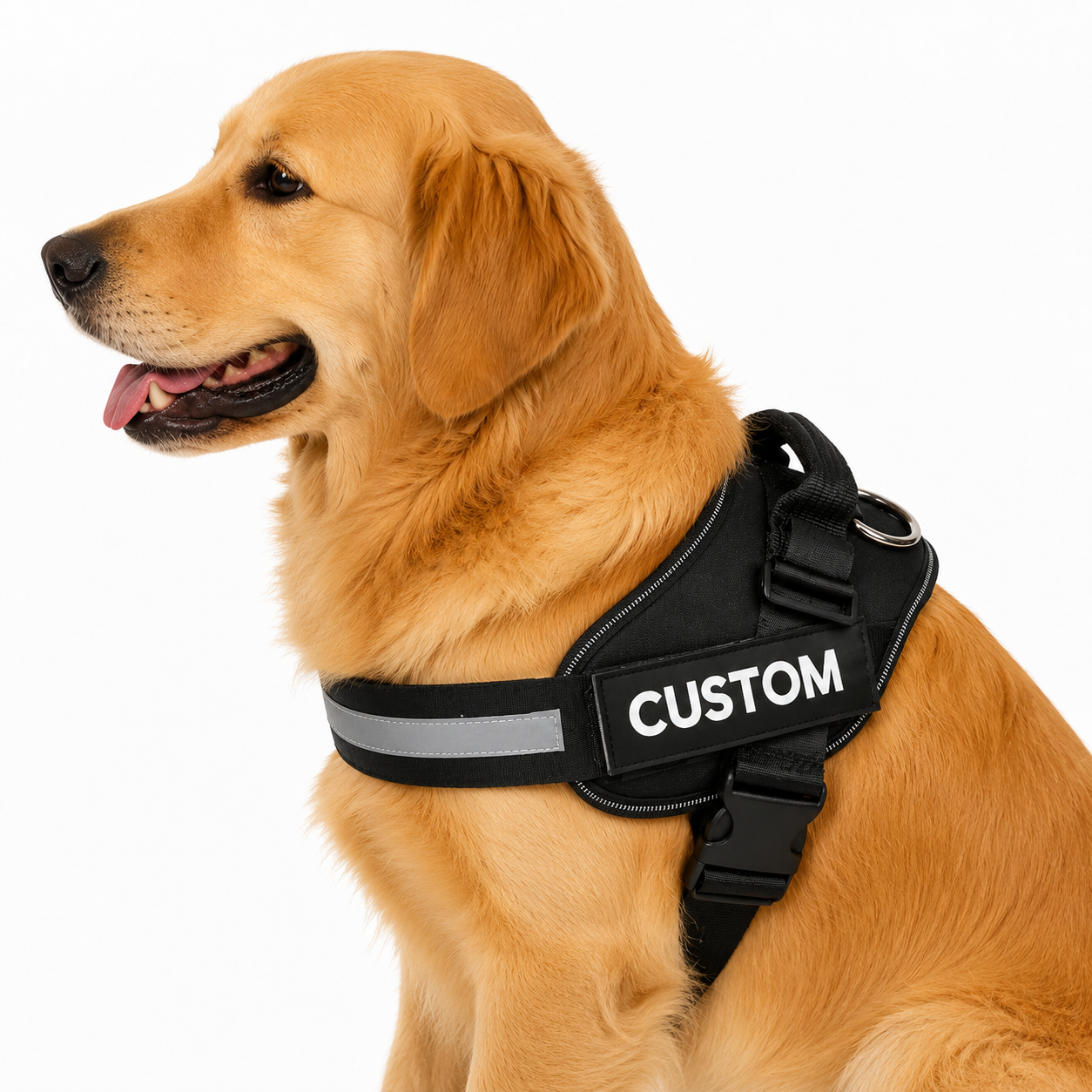 Personalised Dog Harness
