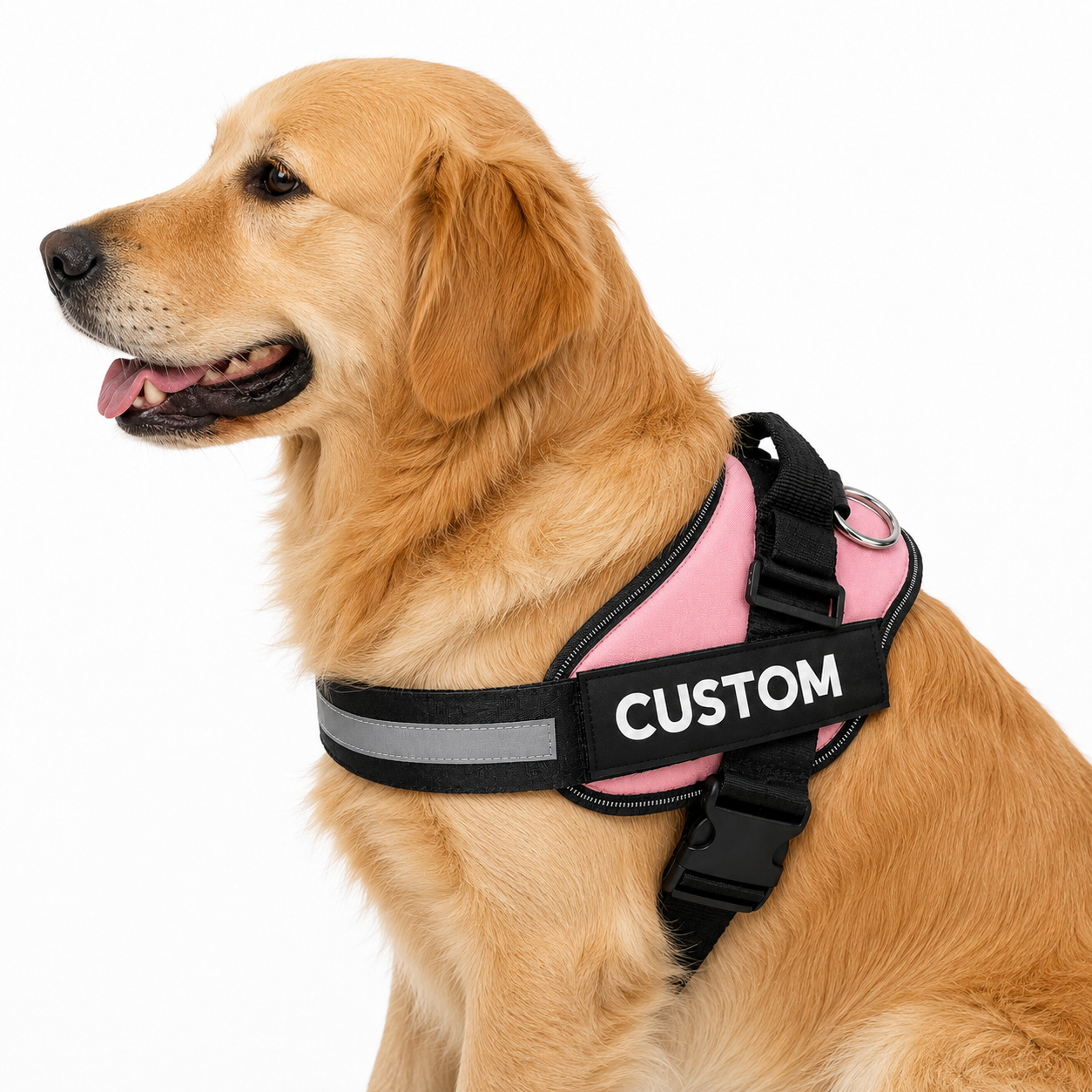 Personalised Dog Harness