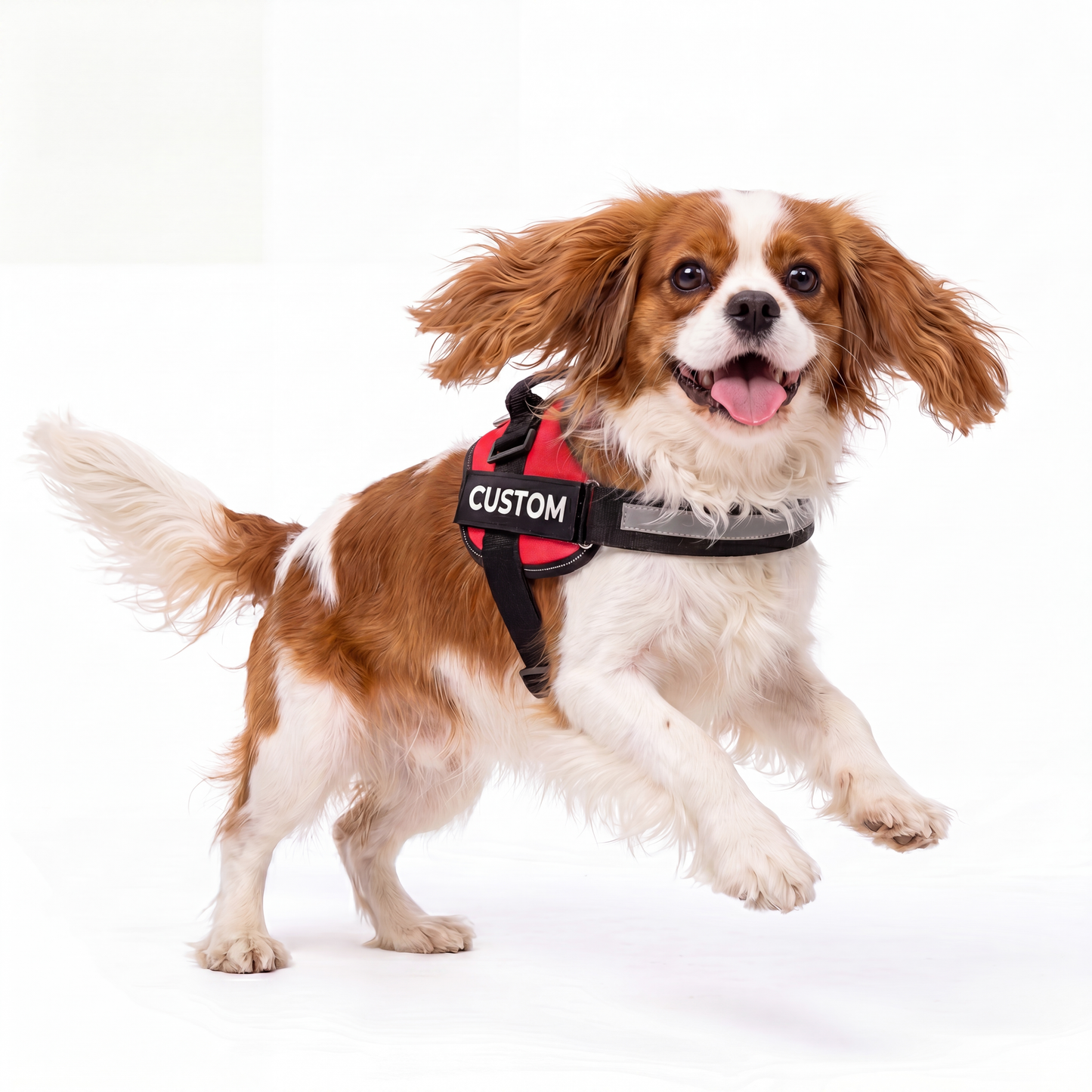 Personalised Dog Harness