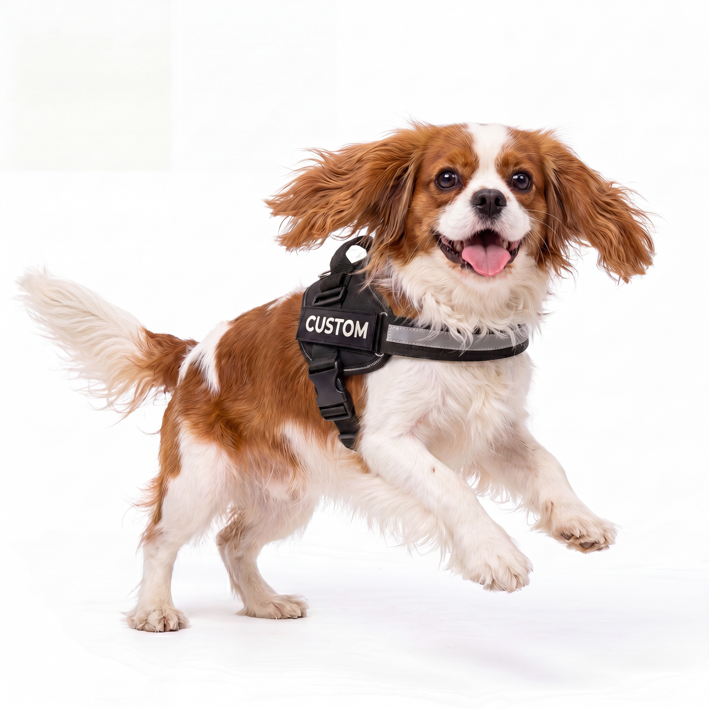 Personalised Dog Harness