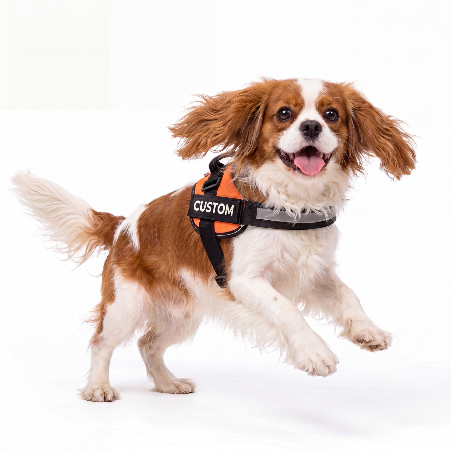 Personalised Dog Harness