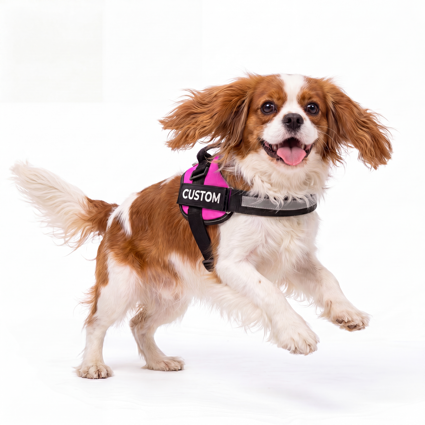 Personalised Dog Harness